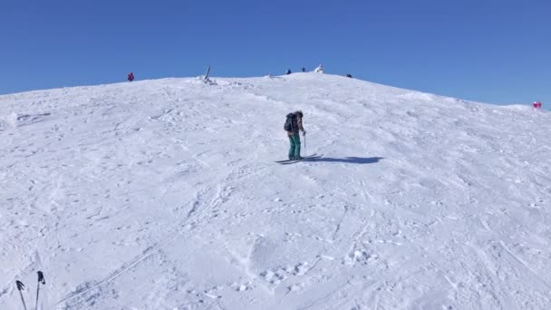 Skieur homme sur le sommet de la montagne. concept de tour de ski — Video