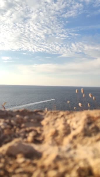 Скоростной катер в море — стоковое видео