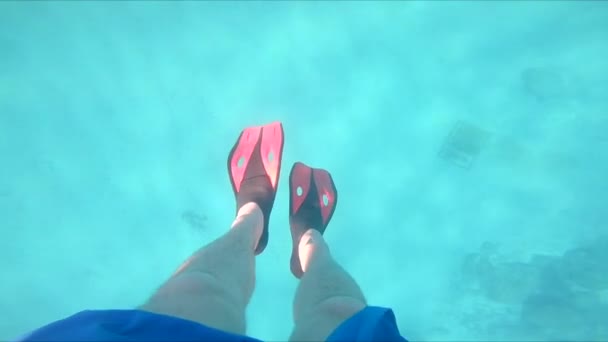 Pernas de homem em nadadeiras — Vídeo de Stock