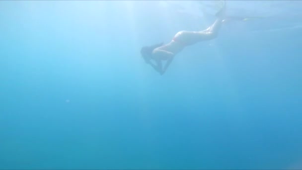 Žena v ploutvích potápění pod vodou — Stock video