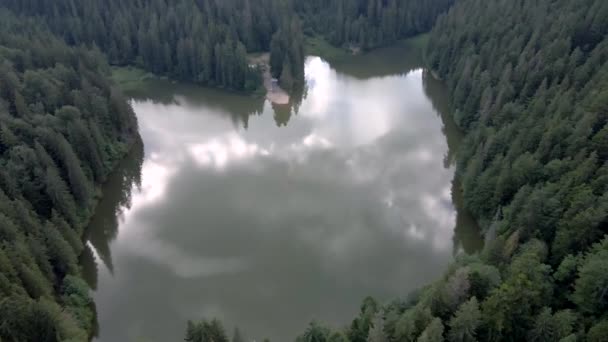 Ukrayna Karpatlar 'daki Sinnevyr Gölü' nün havadan görünüşü — Stok video