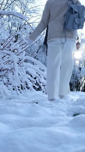 Šťastná žena procházky kolem zasněžené zimní park — Stock video