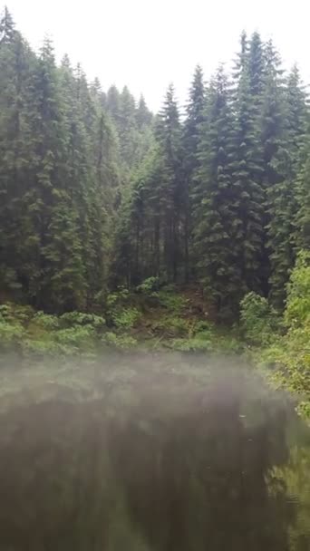 Panoramablick auf den See bei nebligem Regenwetter im Wald — Stockvideo