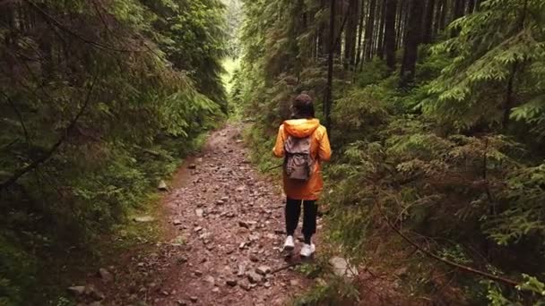 Mujer excursionista mochilero caminando por sendero forestal — Vídeo de stock
