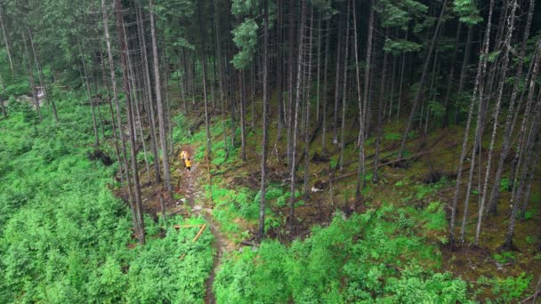 Ehepaar auf Waldweg im Gebirgswanderweg unterwegs — Stockvideo