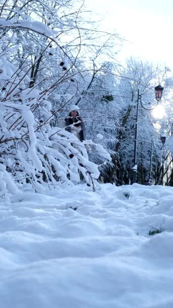 Mujer feliz caminando por el parque de invierno nevado — Vídeos de Stock