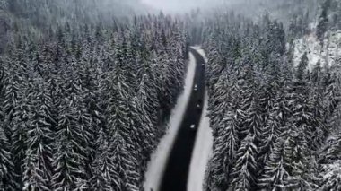 Karpatya dağlarındaki karlı kış yolunun havadan görünüşü