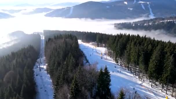 Aerial view of the ski resort in mountains covered with pine trees forest — 图库视频影像