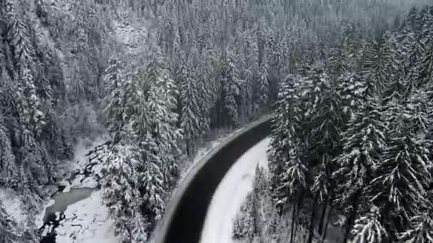 Pemandangan udara dari salju jalan musim dingin di pegunungan Carpathian — Stok Video