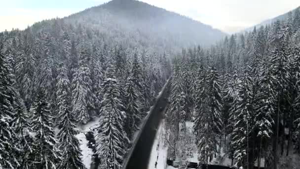 Vista aérea de la carretera nevada de invierno en las montañas de los Cárpatos — Vídeo de stock