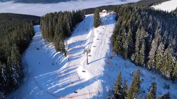 Flygfoto över skidorten i berg täckta med tallskog — Stockvideo