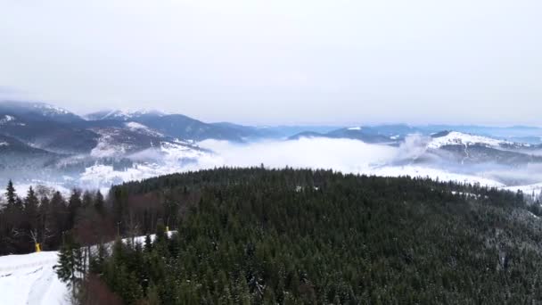 Вид с воздуха на горнолыжный курорт в горах, покрытых сосновым лесом — стоковое видео