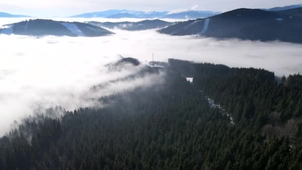 Beautiful landscape aerial view of winter carpathian mountains foggy morning — Stockvideo