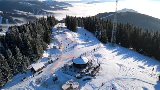 Aerial view of the ski resort in mountains covered with pine trees forest — 图库视频影像