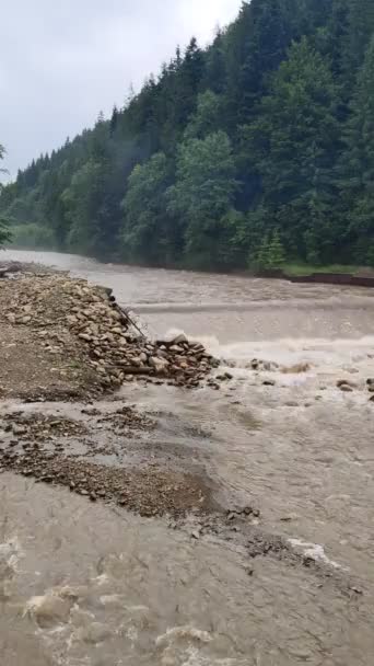 Río tormentoso después de la lluvia en las montañas de los Cárpatos — Vídeo de stock