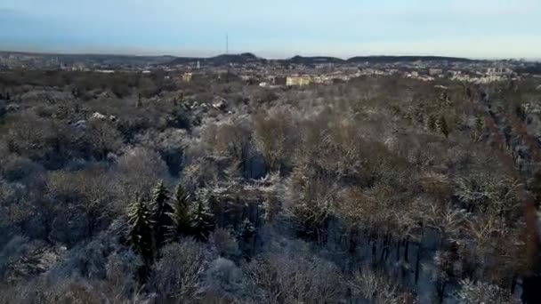 Vista aerea di inverno nevicato Lviv — Video Stock