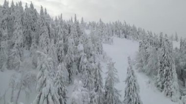 Kar fırtınası kışın dağların manzarası