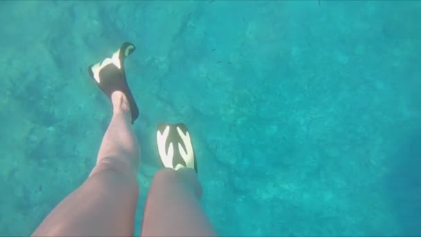跳水动作中的女性腿 — 图库视频影像