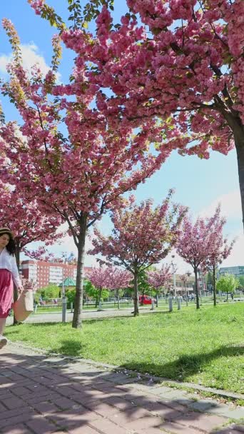 Prachtige glimlachende vrouw wandelen onder bloeiende sakura bomen — Stockvideo