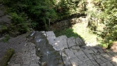Ormandaki şelale manzarası