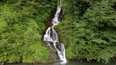 Karpat Dağlarında Şelale