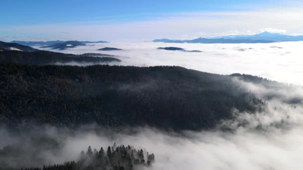 Beautiful landscape aerial view of winter carpathian mountains foggy morning — Stockvideo