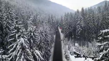 Karpatya dağlarındaki karlı kış yolunun havadan görünüşü
