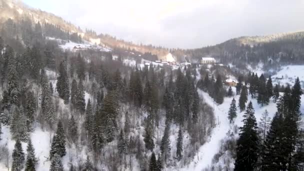 Aerial view of sunrise above winter carpathian mountains — Stock Video