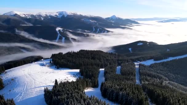 Κεραία άποψη του χιονοδρομικού κέντρου στα βουνά που καλύπτονται με πεύκα δάσος — Αρχείο Βίντεο