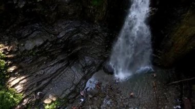 Ormandaki şelale manzarası