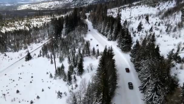 スロヴァキアの山岳地帯の雪道を移動する車の空中ビュー — ストック動画