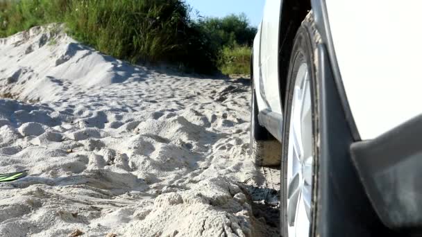 女性は仕事で疲れた夏休みの砂浜のフリッパーで車から出て行き — ストック動画