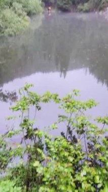 Bakış açısına göre yürüyüşçü Karpatya dağlarındaki göl kıyısında duruyor.