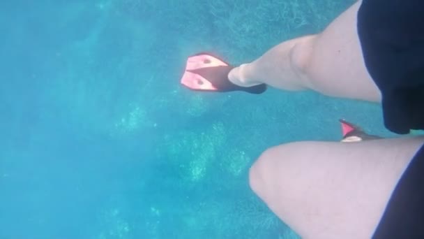 跳水时的腿 — 图库视频影像
