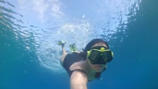 Mayolu bir kadın tüplü dalış yapıyor. — Stok video
