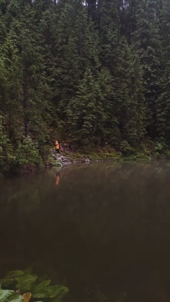 Escursionista donna in impermeabile giallo guardando il lago in montagne carpatiche — Video Stock