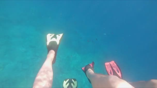 Casal mulher homem pernas em flippers mergulho — Vídeo de Stock