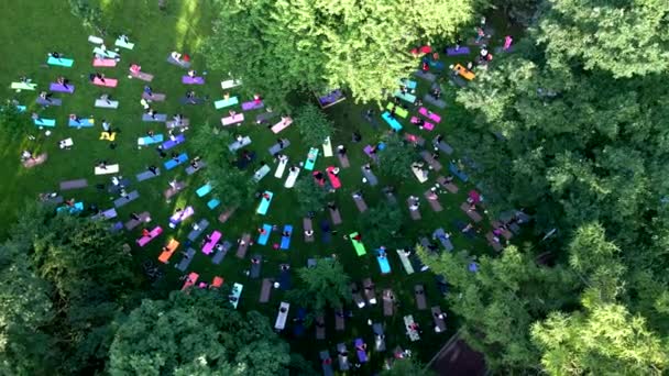Grupo de personas haciendo ejercicio en el parque público de la ciudad — Vídeos de Stock