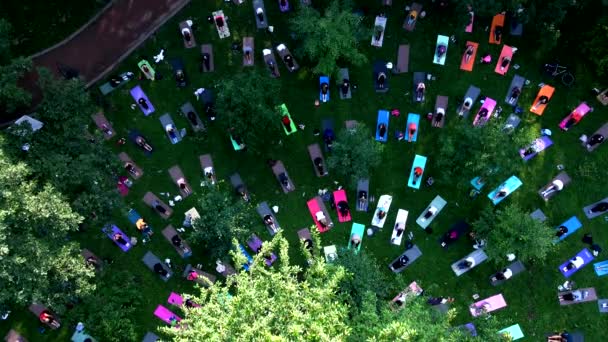 Groep mensen die oefeningen doen in het stadspark — Stockvideo