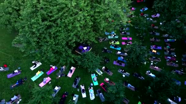 Folk dyrker yoga i byens offentlige park – Stock-video