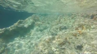 su altı dalgaları görünümü