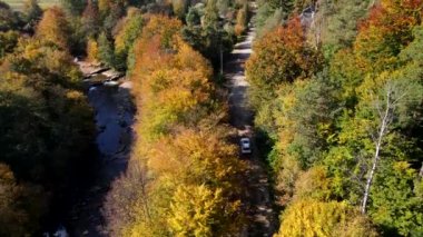 Sonbahar Ormanı Yolu 'ndaki araba yolculuğu konsepti.