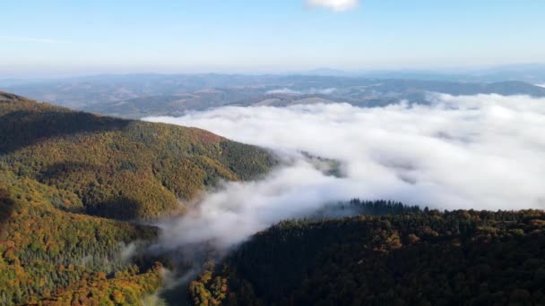 Vista aerea delle montagne carpatiche autunnali sopra le nuvole — Video Stock