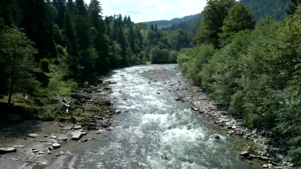 Vista aerea di montagne torrente fiume nella foresta — Video Stock