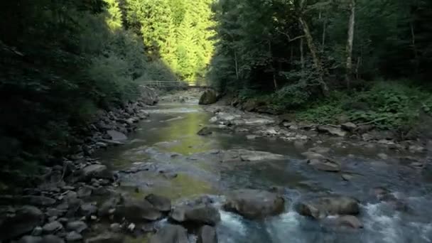 Рухаючись вперед над річкою в горах — стокове відео