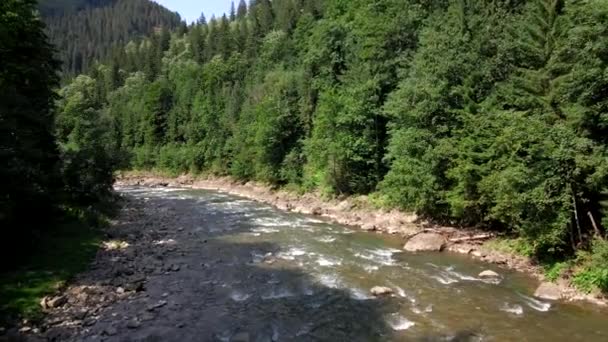 Vue sur la rivière de montagne ukrainienne à la journée ensoleillée d'été — Video