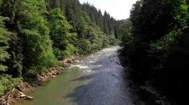 Güneşli yaz gününde Ukrayna dağ nehri manzarası