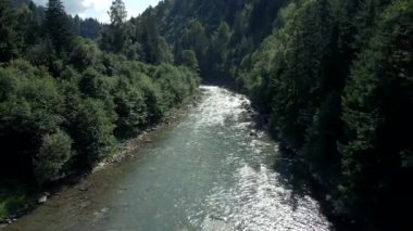 Güneşli yaz gününde Ukrayna dağ nehri manzarası