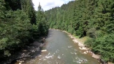 Güneşli yaz gününde Ukrayna dağ nehri manzarası