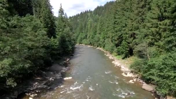 Vista do rio de montanha ucraniano no verão dia ensolarado — Vídeo de Stock